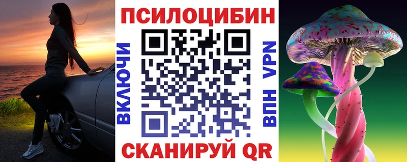 Псилоцибиновые грибы Psilocybe Ветлуга